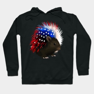 Patriotic Porcupine Hoodie